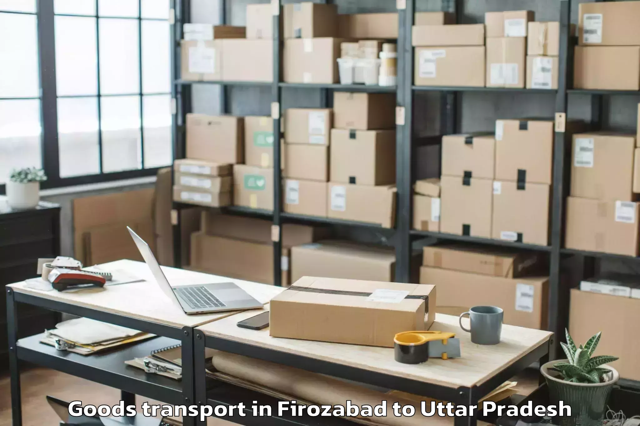 Professional Firozabad to Mahaban Goods Transport